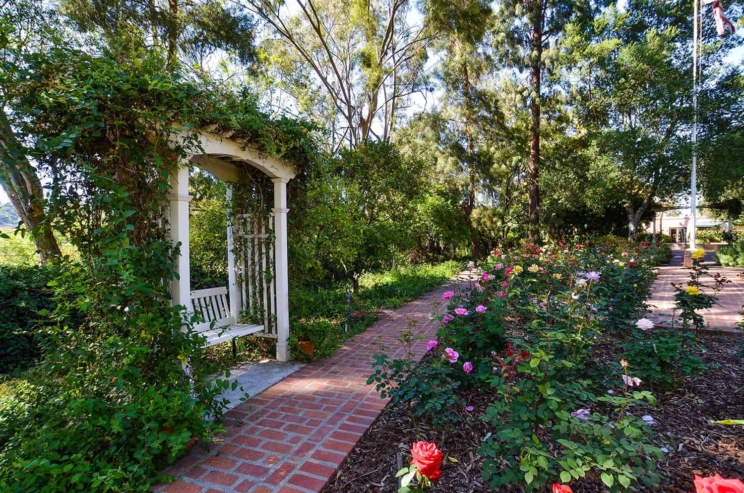 The rose garden on Broadview’s peaceful campus